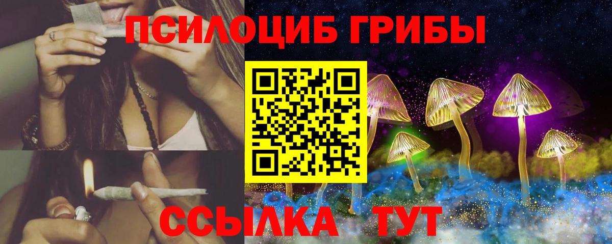 Щёлково  Галлюциногенные грибы Cubensis  Галлюциногенные грибы GOLDEN TEACHER  Вход с VPN 